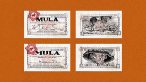 Mula business cards